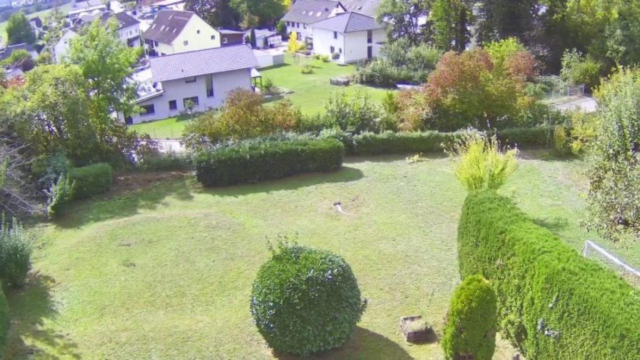Garten Einfamilienhaus Gailingen